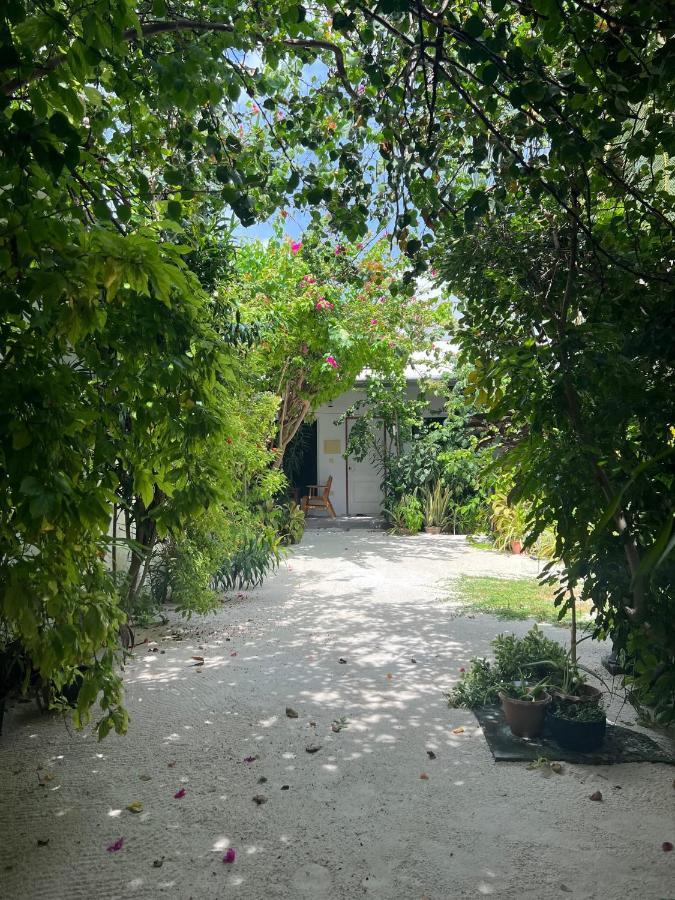 Lagoon Villa Maldives Thoddoo Εξωτερικό φωτογραφία